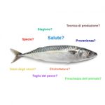 Dieta ricca di pesce e Retinopatia Diabetica