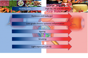 Dieta e microbioma intestinale