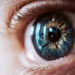 pathologies of the vitreous