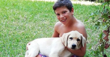 Oftalmología veterinaria