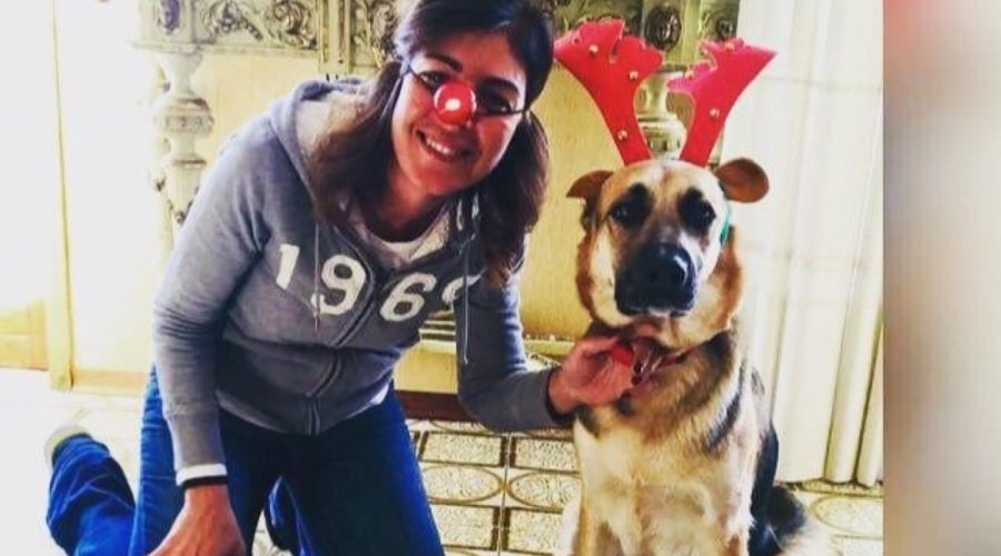 Oftalmología veterinaria