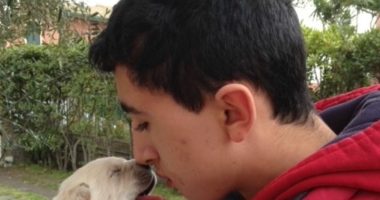 Oftalmología veterinaria