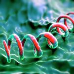Ocular syphilis and early diagnosis