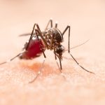 Bilateral chorioretinitis and West Nile virus