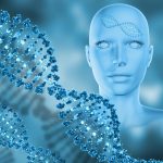 Hereditary maculopathies: genes & C