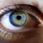 Fluoroquinolones and the eye