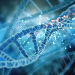 Distrofia endoteliale di Fuchs: novità dalla genetica