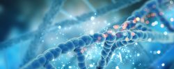 Distrofia endoteliale di Fuchs: novità dalla genetica