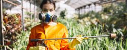 Pesticidi organofosforici e rischio DMLE