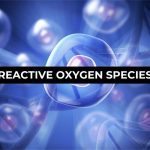 Stress Ossidativo e patologie oculari degenerative