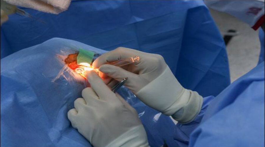 Neuropatia Ottica Ereditaria di Leber e Terapia Genica